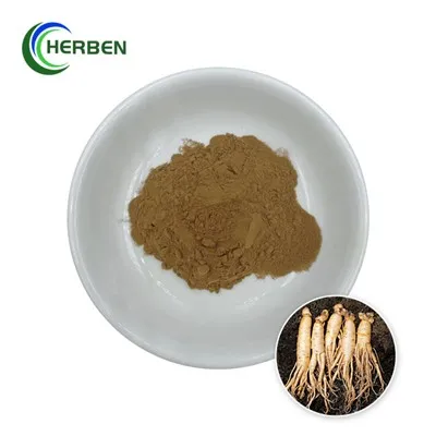 Extract uscat de ginseng